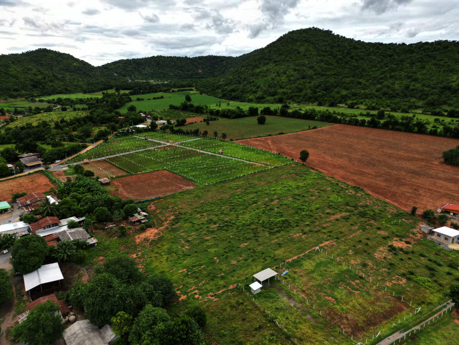 bg - บ้านพันธุ์สุข